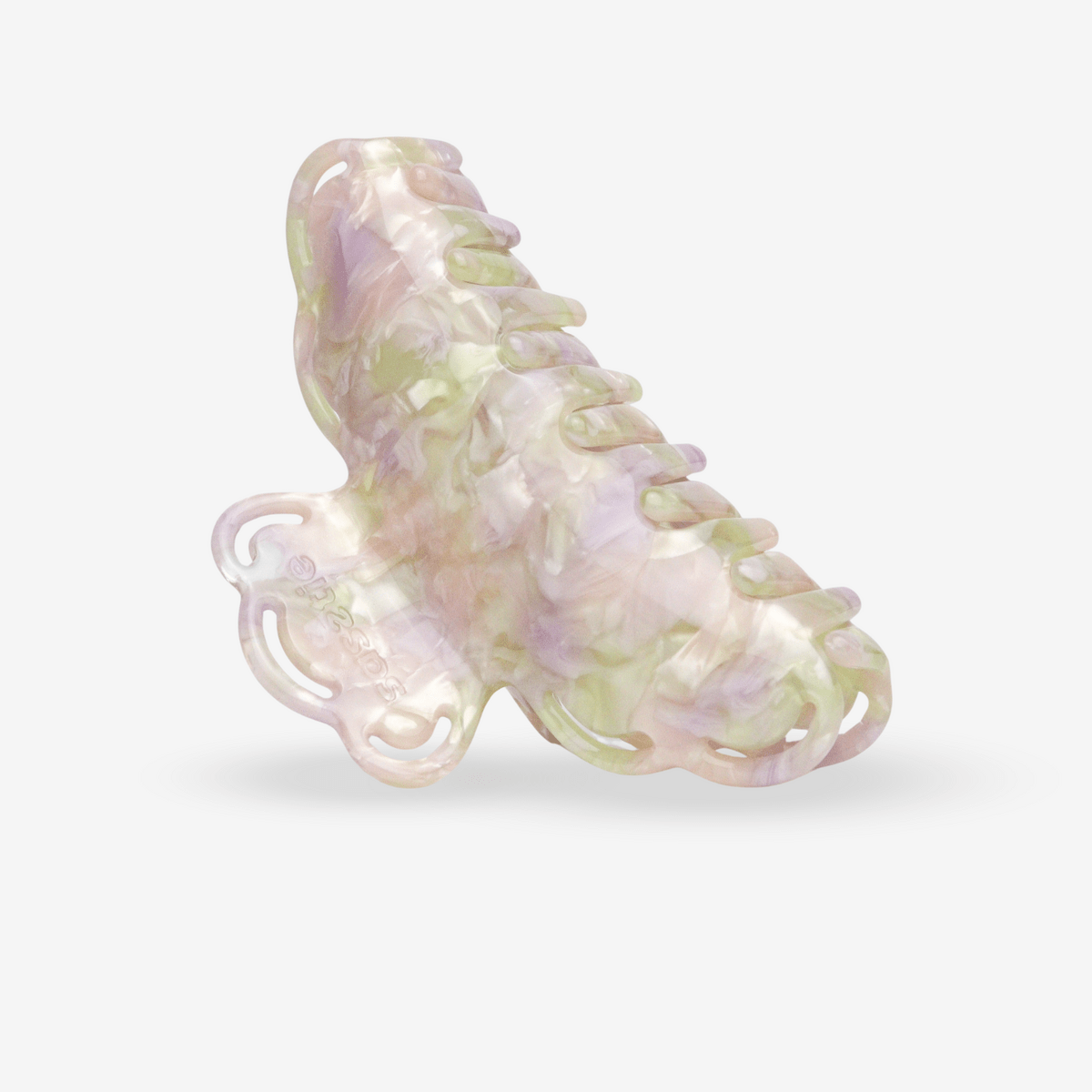 Haarklem Jardin des Fleurs