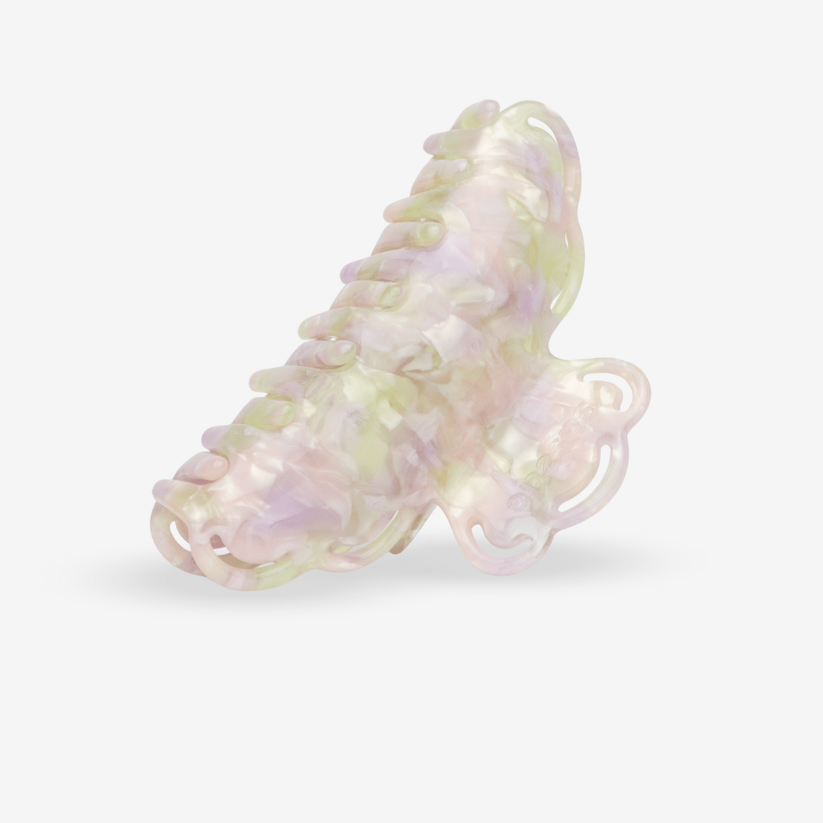 Haarklem Jardin des Fleurs