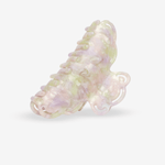 Haarklem Jardin des Fleurs