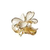 Haarklem Fleur de Chance