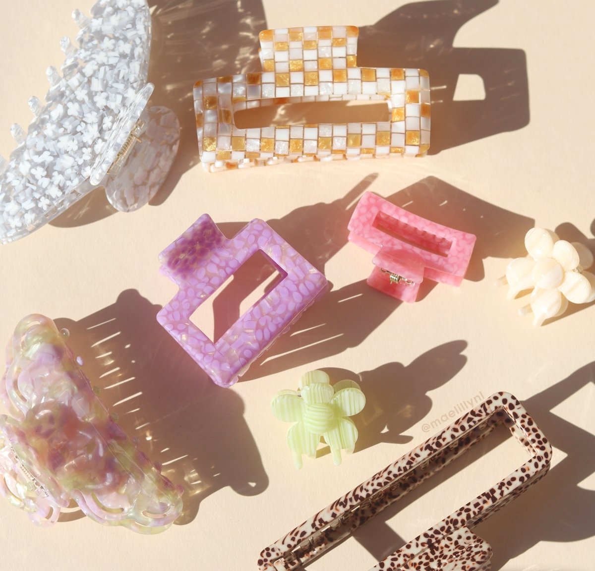 Haarklem Jardin des Fleurs