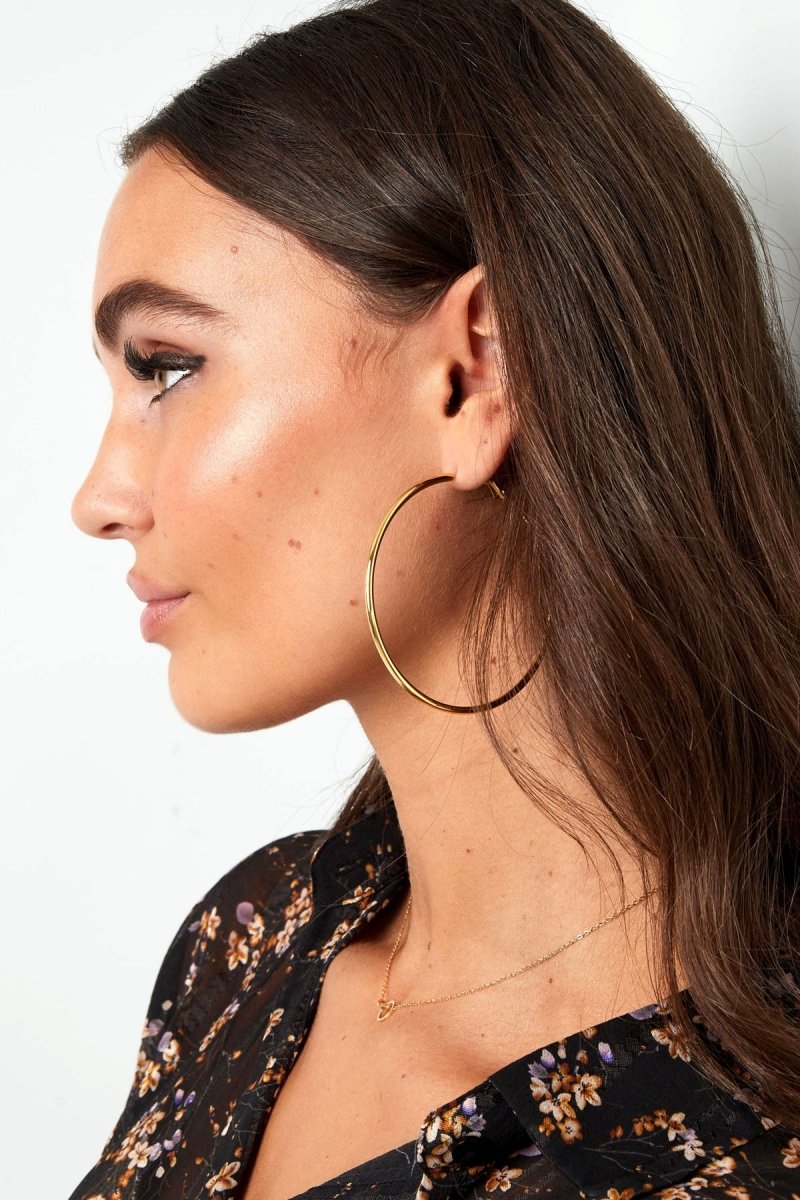 Basic Essential Hoops Oorbellen Zilverkleurig