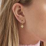 Clover Class Oorbellen Zilverkleurig