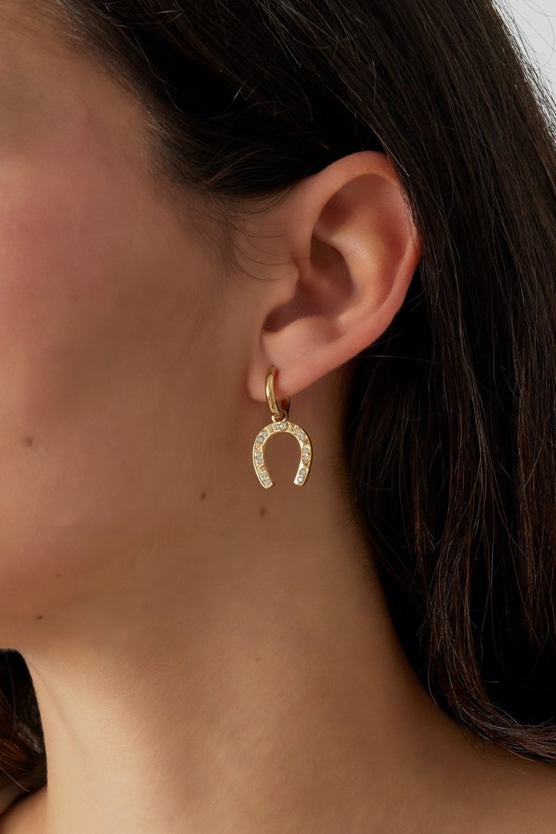 Horseshoe Oorbellen Zilverkleurig