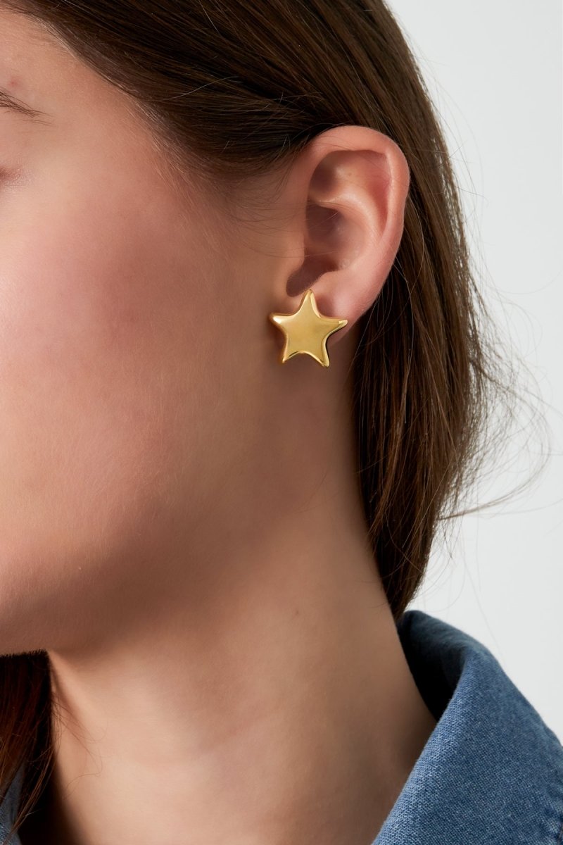 Be My Star Oorbellen Zilverkleurig