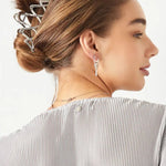 Haarklem Elegant Zilverkleurig