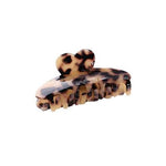 Haarklem Sweet Heart Turtle