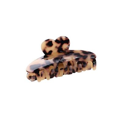 Haarklem Sweet Heart Turtle