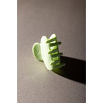 Haarklem Coope Lime