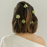 Haarklem Bloomie Pistaccio