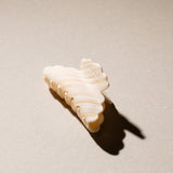 Haarklem Cloude Macadamia