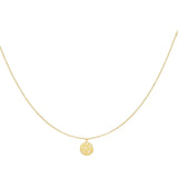 Charm with Stones Ketting Goudkleurig - 925 silver