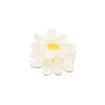 Haarklem Daisy Flower White