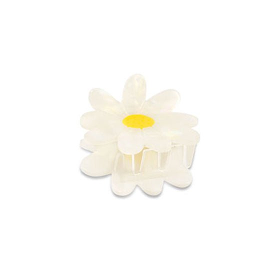 Haarklem Daisy Flower White
