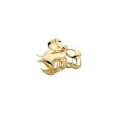 Haarklem Luxe Ribbon Goudkleurig
