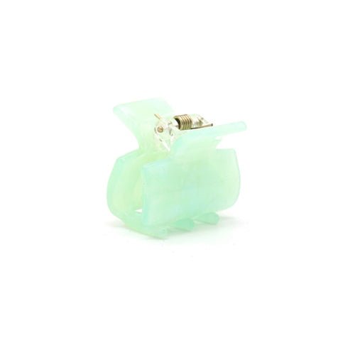 🎁 Haarklem Mini Recht Mint Green (100% off)