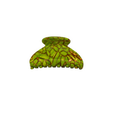 Haarklem Mony Turtle