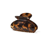 Haarklem Tortoise Crush