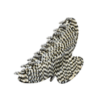 Haarklem Balance Luxe