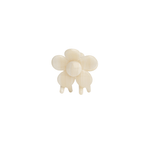 Haarklem Bloomie Macadamia