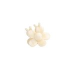 Haarklem Bloomie Macadamia