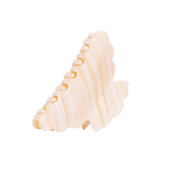 Haarklem Cloude Macadamia