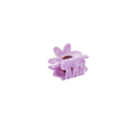 Haarklem Daisy Flower Purple