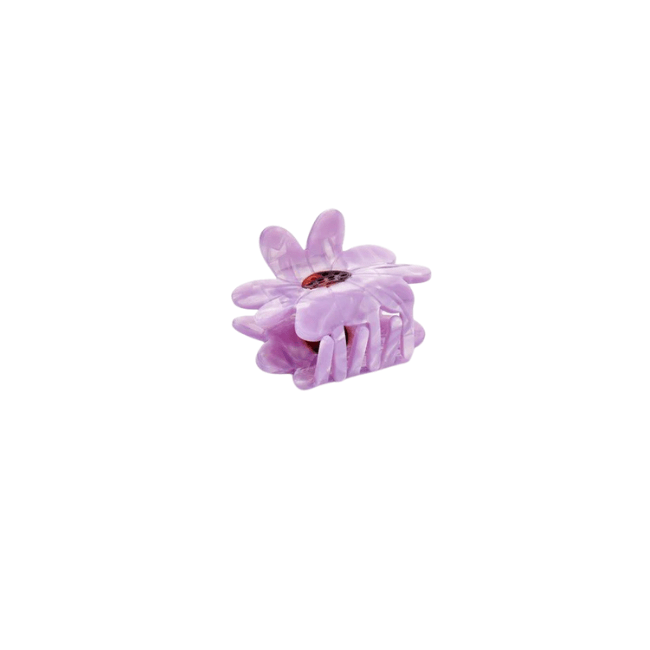 Haarklem Daisy Flower Purple