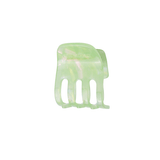 Haarklem Paw Mint