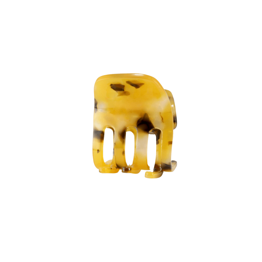 Haarklem Paw Tiger