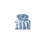 Haarklem True Denim