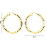 Thick Shiny Hoops Oorbellen Goudkleurig