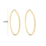 Luxury Shiny Hoops Oorbellen Goudkleurig