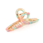 Haarklem Elegant Swirl Goudkleurig & Pastel Green Pink