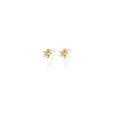 Sparkling Daisy Clip Oorbellen Goudkleurig