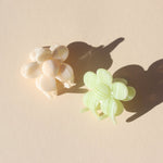 Haarklem Bloomie Macadamia