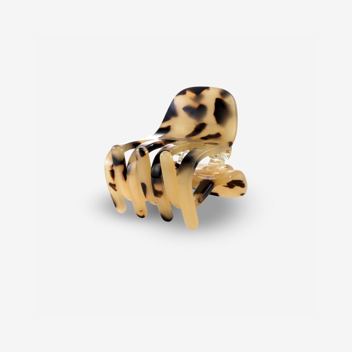 Haarklem Paw Cheetah