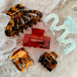 Haarklem Paw Tiger
